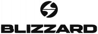 Logo Blizzard